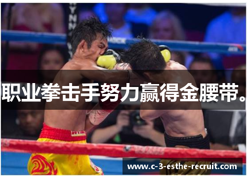 职业拳击手努力赢得金腰带。