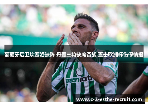 葡萄牙后卫坎塞洛缺阵 丹麦三将缺席备战 直击欧洲杯伤停情报